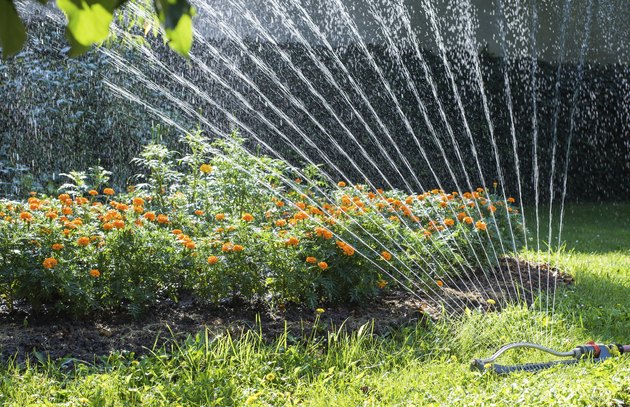 Sprinkler