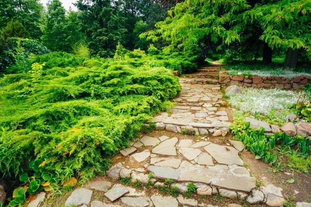 Stone pathway walkway lane path with green trees and bushes in garden. Beautiful alley in park.