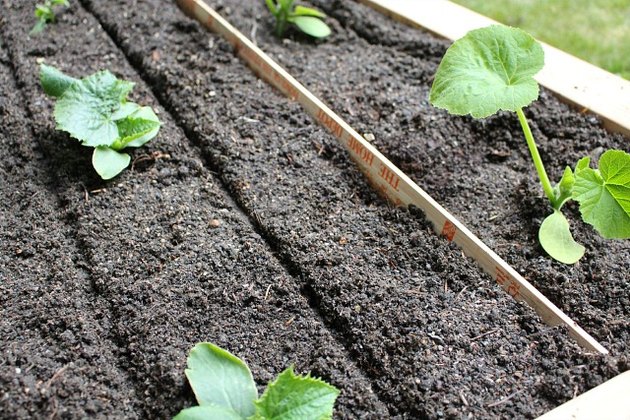 how-to-plant-a-raised-vegetable-garden-ehow