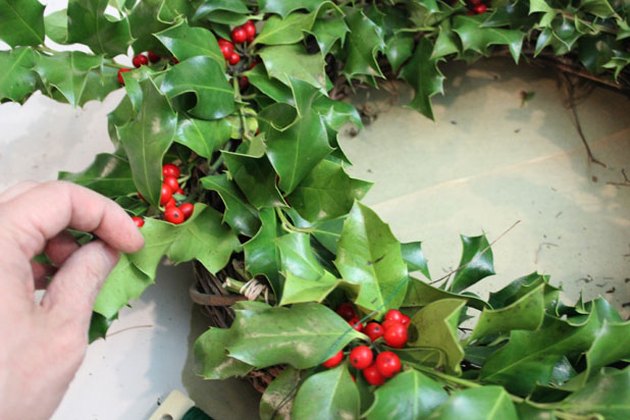 how-to-make-a-holly-wreath-ehow