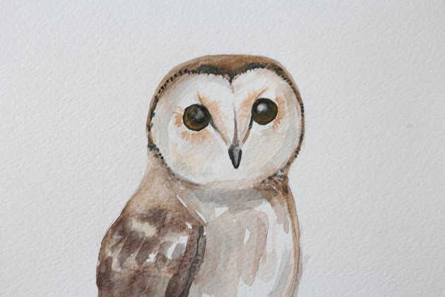 DIY Owl Watercolor Painting | eHow