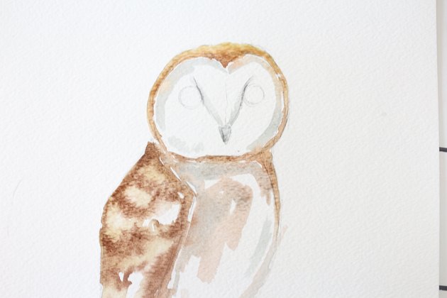 DIY Owl Watercolor Painting | eHow