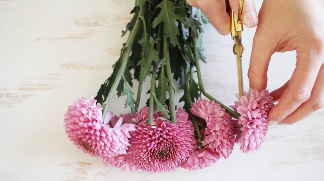 Cutting flowers off stems