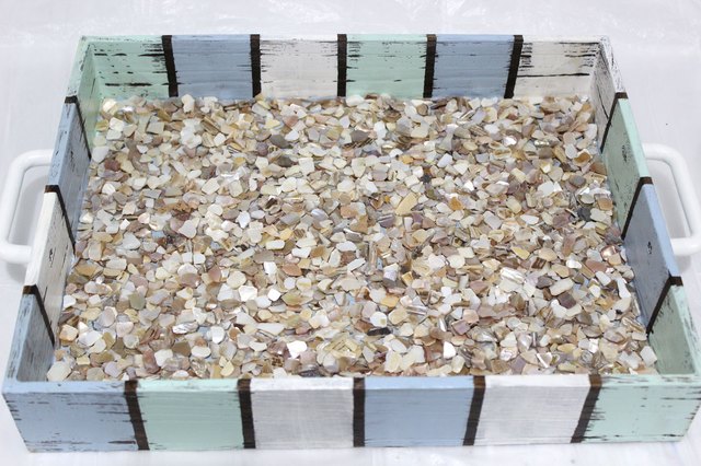 broken shells