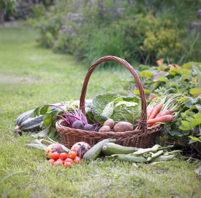 20 Best Vegetable Garden Layout Ideas - Planning Vegetable Garden Plot