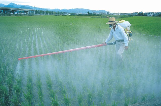agro chemicals and their effects