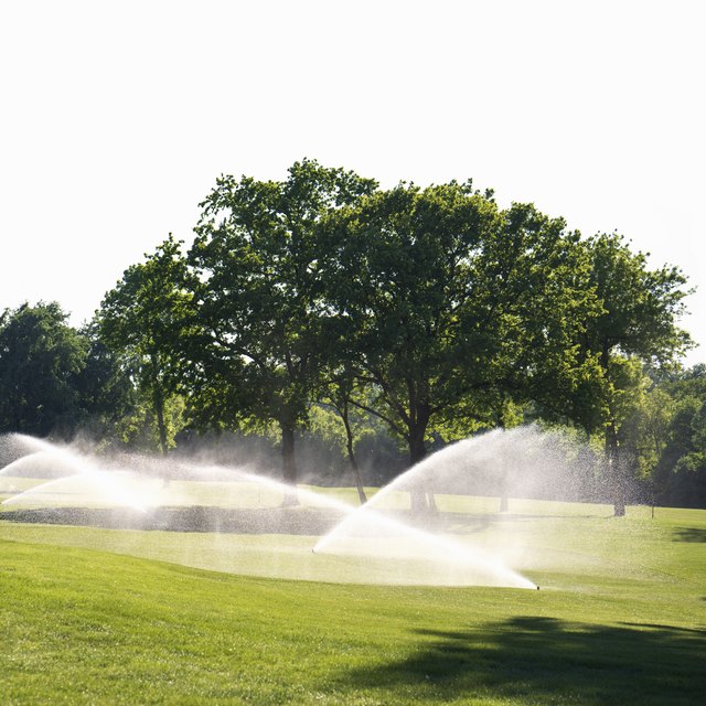 How to Adjust a Rain Bird PopUp Sprinkler Head (with Video) Flipboard