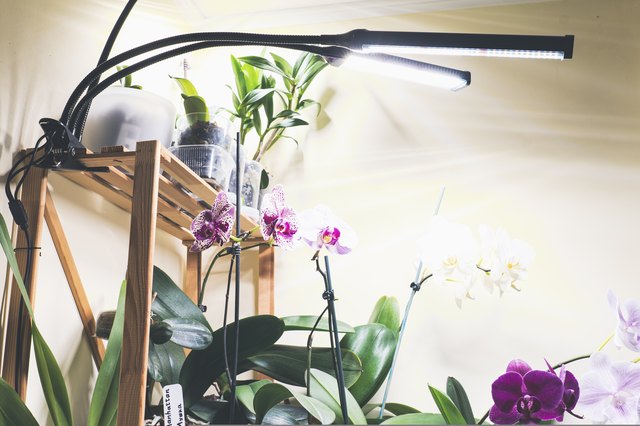 These Grow Lights Will Help Your Indoor Plants Find Their "Inner Grow"