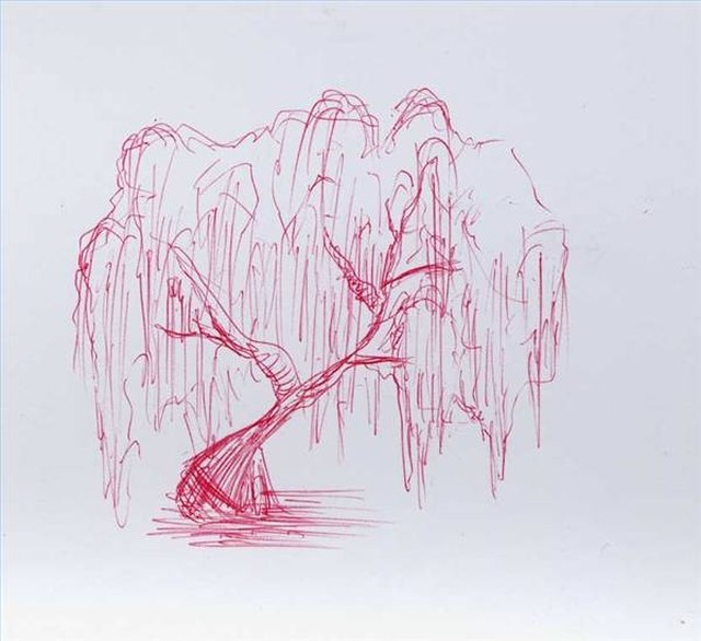 Weeping Willow Tree Drawing Stock Illustrations RoyaltyFree Vector  Graphics  Clip Art  iStock