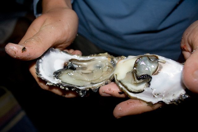 The Value Uses of Oysters ehow