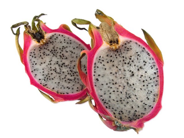 Dragon Fruit, White 'Vietnamese Jaina' (Hylocereus undatus)