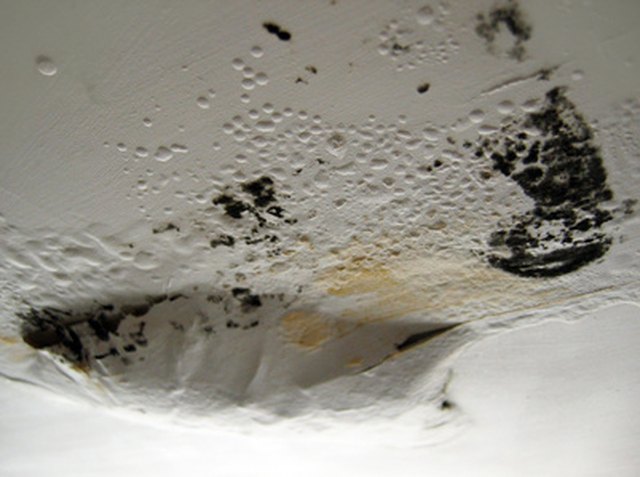 A Popcorn Ceiling With Brush