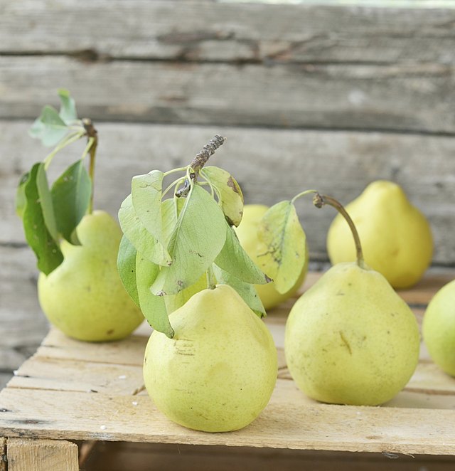 How to Make Pear Nectar | ehow