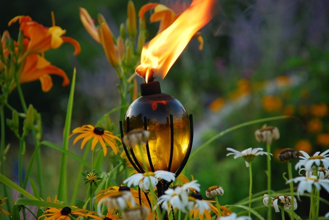 Lighting the Way