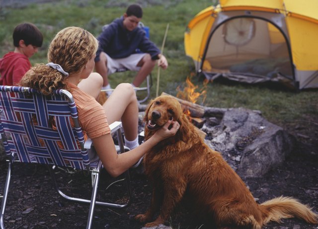 Mother and two sons (13-14) (10-11) sitting at campsite, woman stroking dog