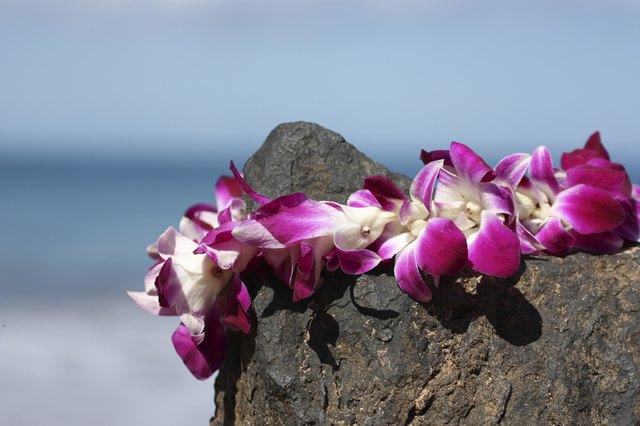 Lei on volcanic rock in Maui