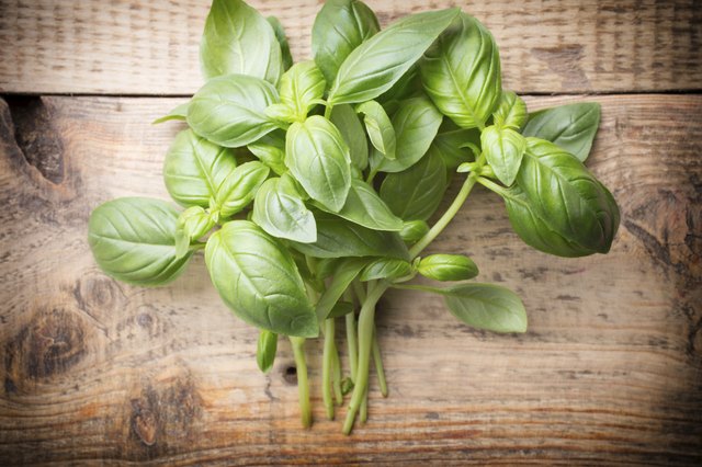 Substitutes for Dried Basil Leaves | ehow