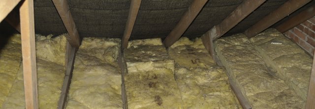 How to Get Rid of Mold in the Attic | ehow