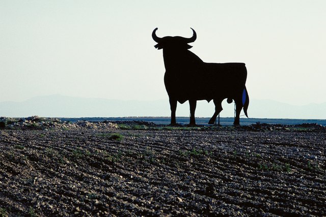 Creative Ideas on How to Make a Bull Costume | ehow