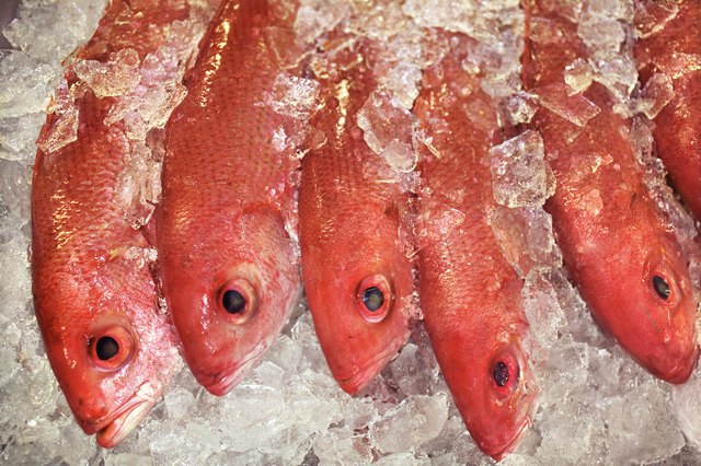 how-to-cook-rockfish-in-the-oven-ehow