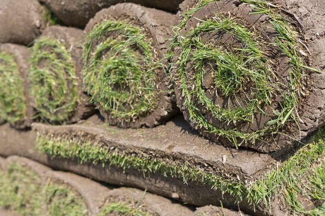 How Long Does it Take for Sod to Take Root? | ehow