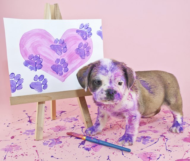 Safe Paints to Use for Making a Dog Paw Print | eHow