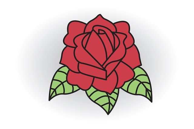 Rose sketch on white background - Stock Image - Everypixel