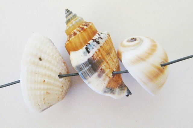 DIY Seashell Wind Chime, ehow.com