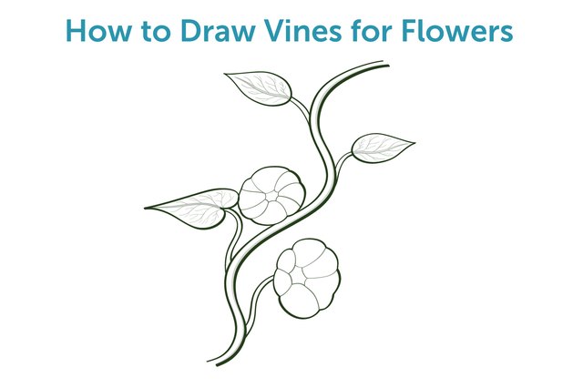 flower vine drawings in pencil
