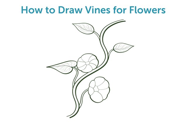 Easy Pencil Drawings Of Flowers And Vines