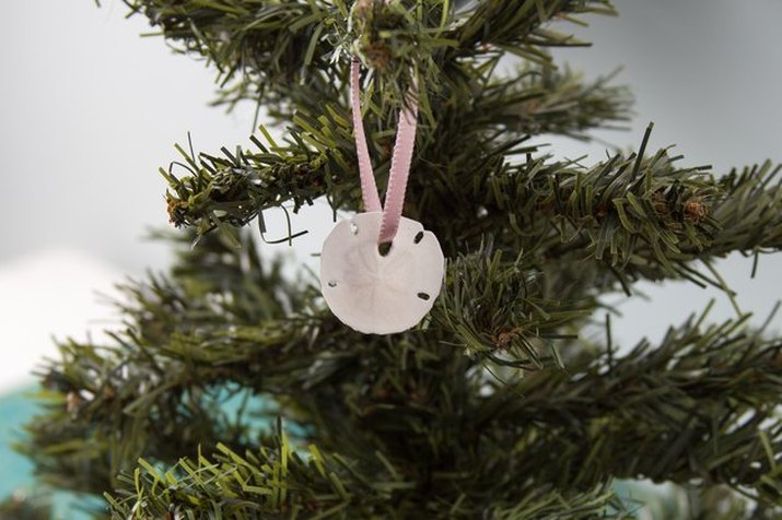Sand dollar hung with a pink ribbon from a Christmas tree