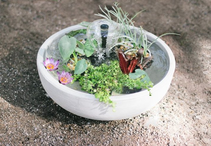 DIY container water garden