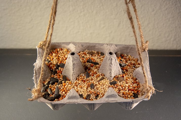 an image of a bird feeder made from an egg carton