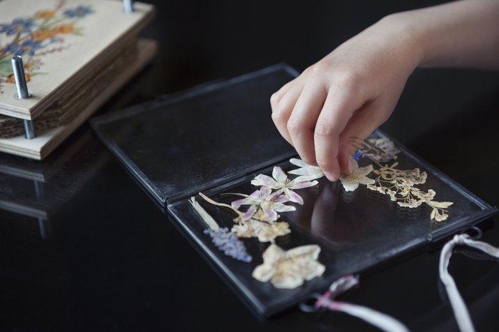 Child (6-7) arranging pressed wildflowers onto a glass frame