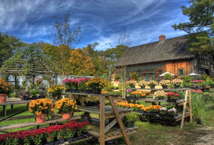 HDR Fall at the Garden Center