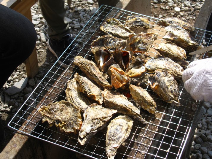 grilled shellfish