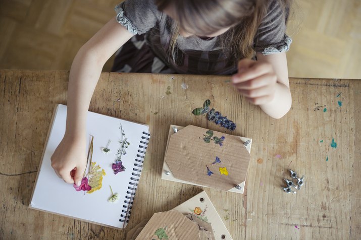 Child (6-7) arranging dried flowers out of a flower press and onto the pages of a notebook