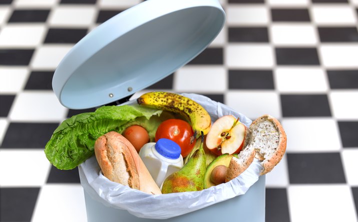 Kitchen bin with out of date food