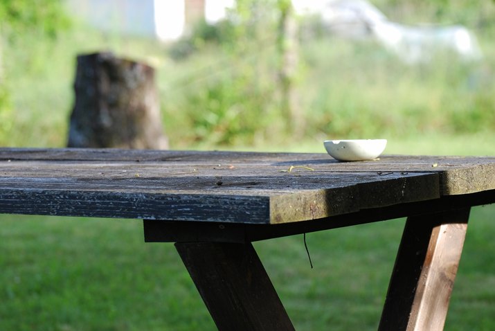 Bowl On Picnic Table At Park