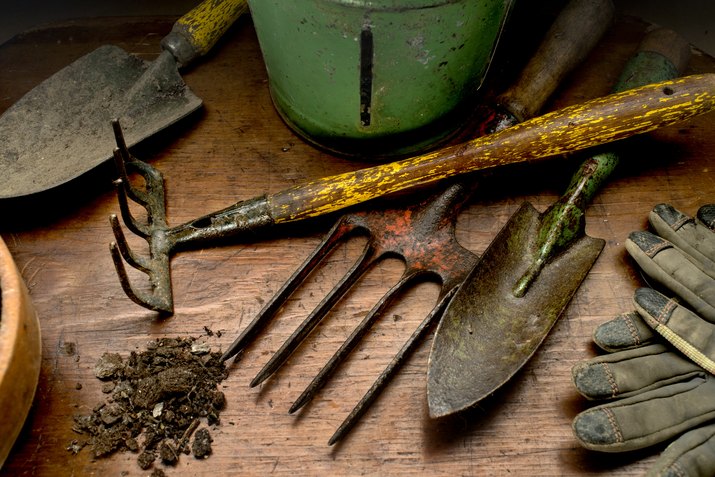 Garden tools on wood