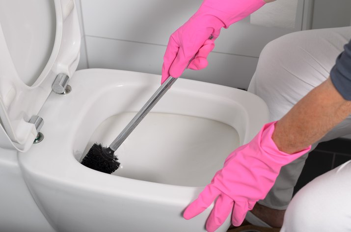 Cropped Image Of Person Cleaning Toilet Bowl