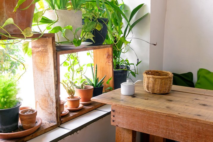 Table side the window and plants pot