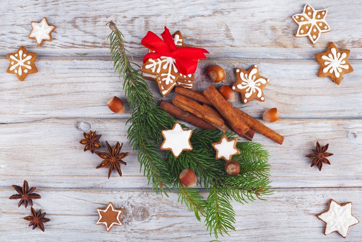 Christmas pine with gingerbread cookies and cinnamon