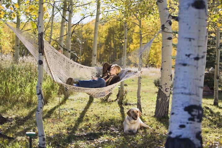 Woman lounging in a hammock with a dog
