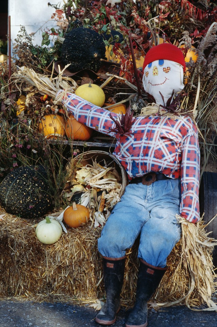 Scarecrow with Autumn decorations