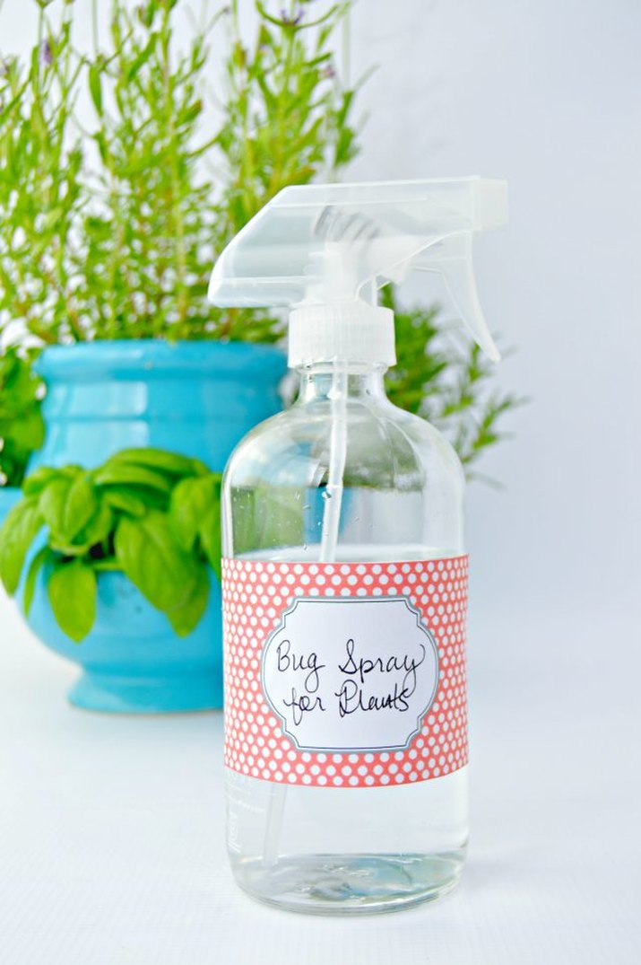 18 Ways to Use Vinegar to Clean Basically Everything in Your Home