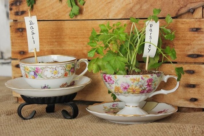 Make a flower pot from a tea cup
