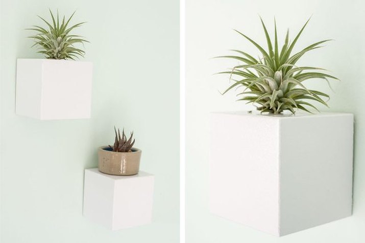 White cube wall planters