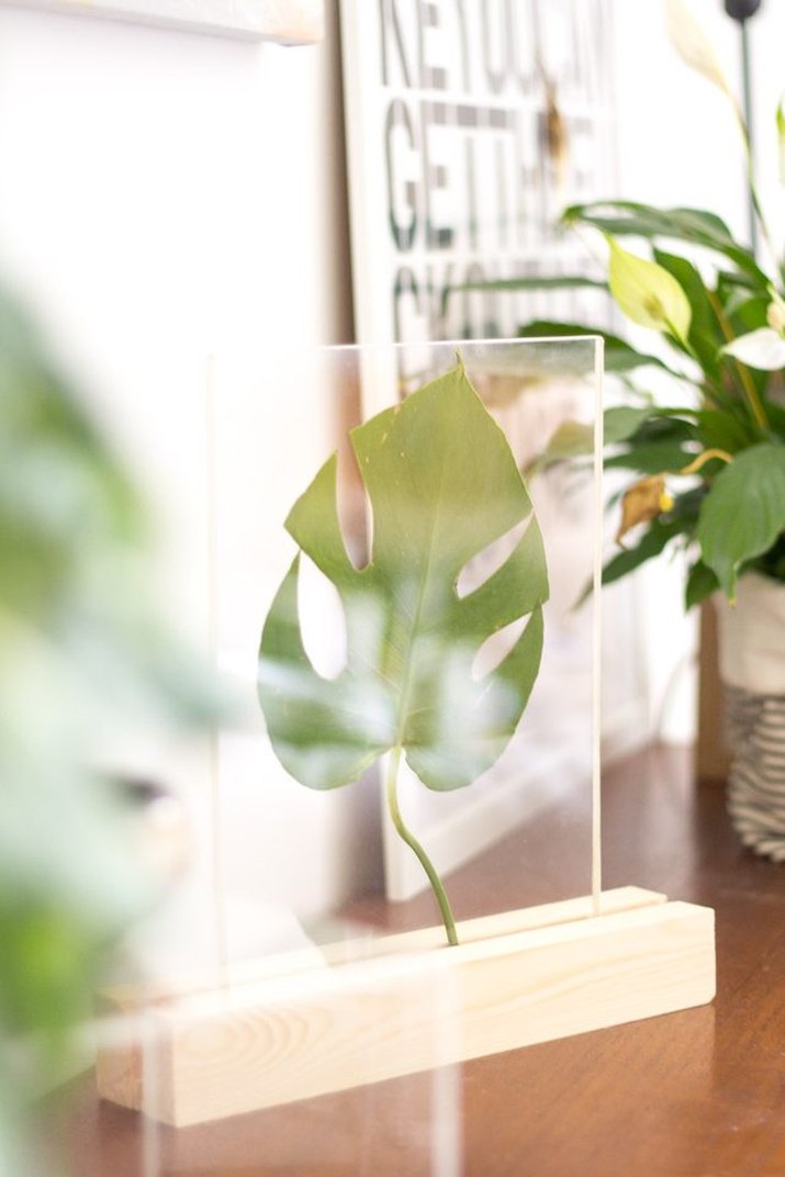 DIY Framed Leaf Home Accessory