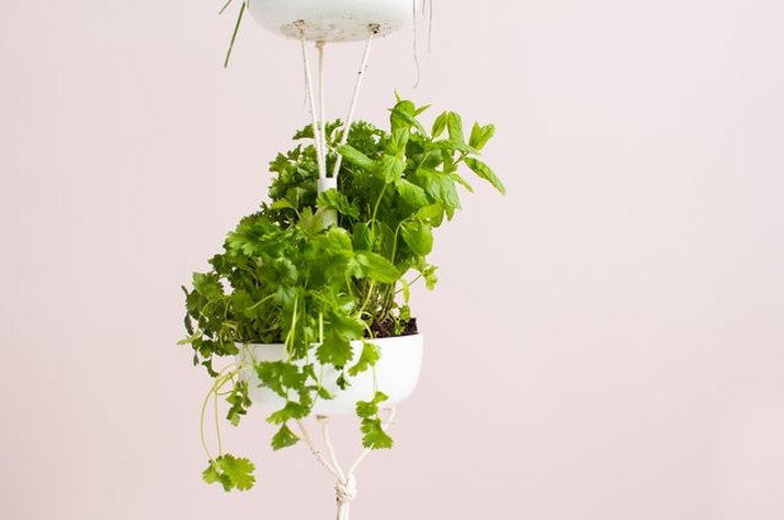 Easy Hanging Herb Garden